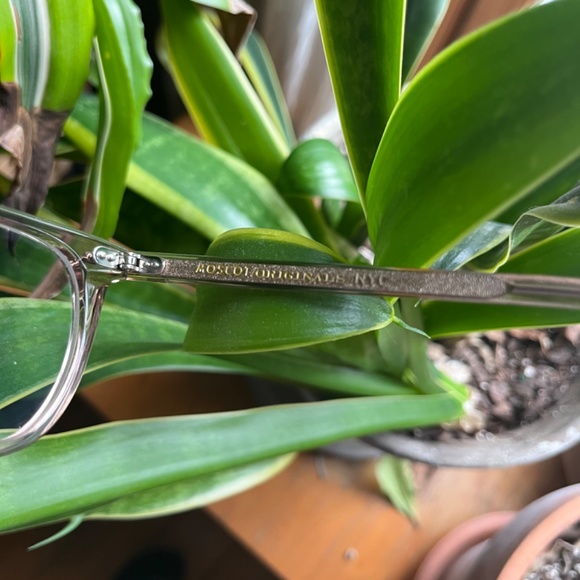 Moscot glasses Tatah burnt rose acetate eyeglasses - Picture 7 of 11